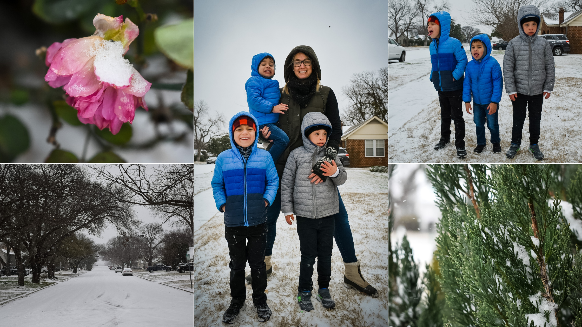 Photos of the Texas ice storm in 2021 including a frozen rose, frozen juniper shrub, a street covered in snow, and a mom and three boys in the snow